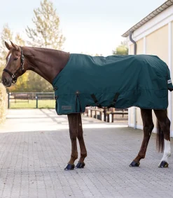 ARCTIC Outdoordecke, 100 g