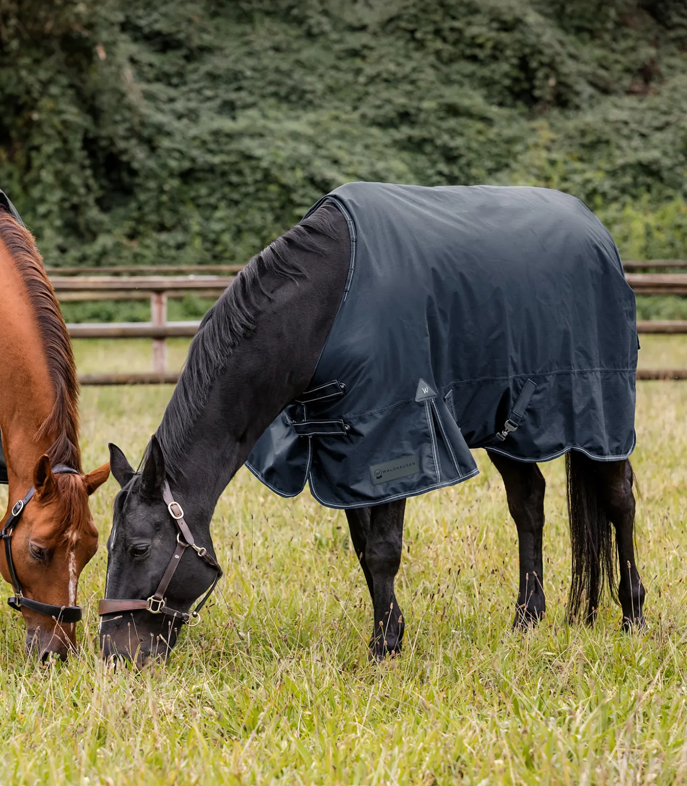 ARCTIC Outdoordecke, 50 g