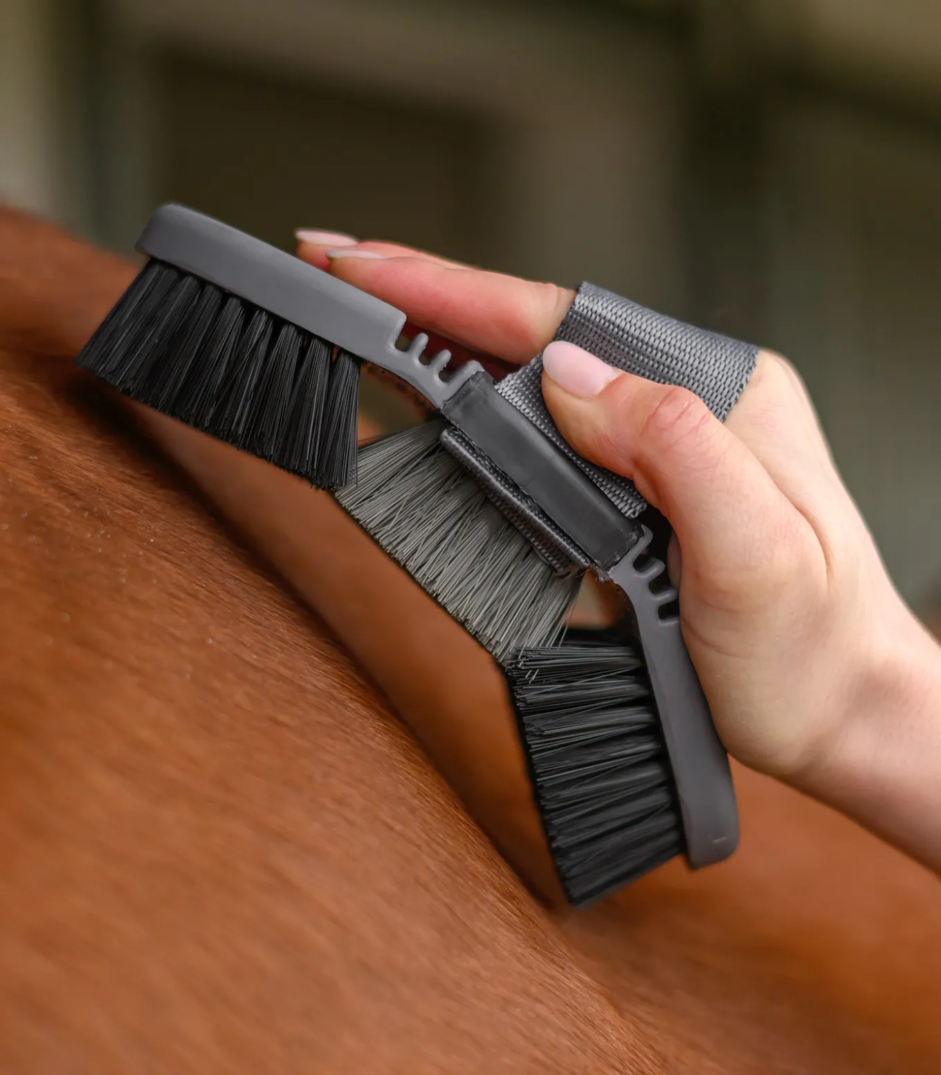 Basic Flexi Kardätsche