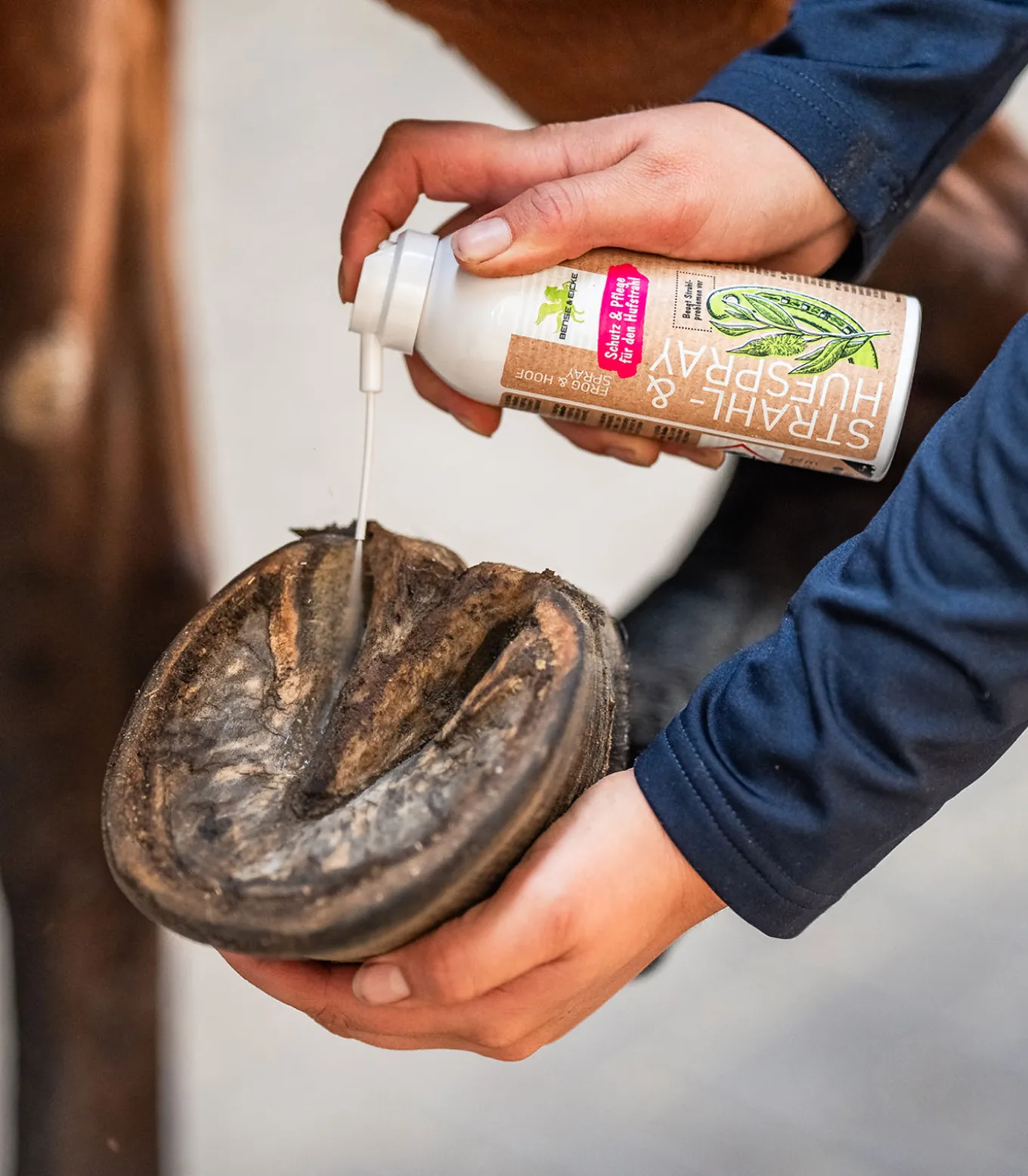 Bense & Eicke Strahl- und Hufspray, 200 ml