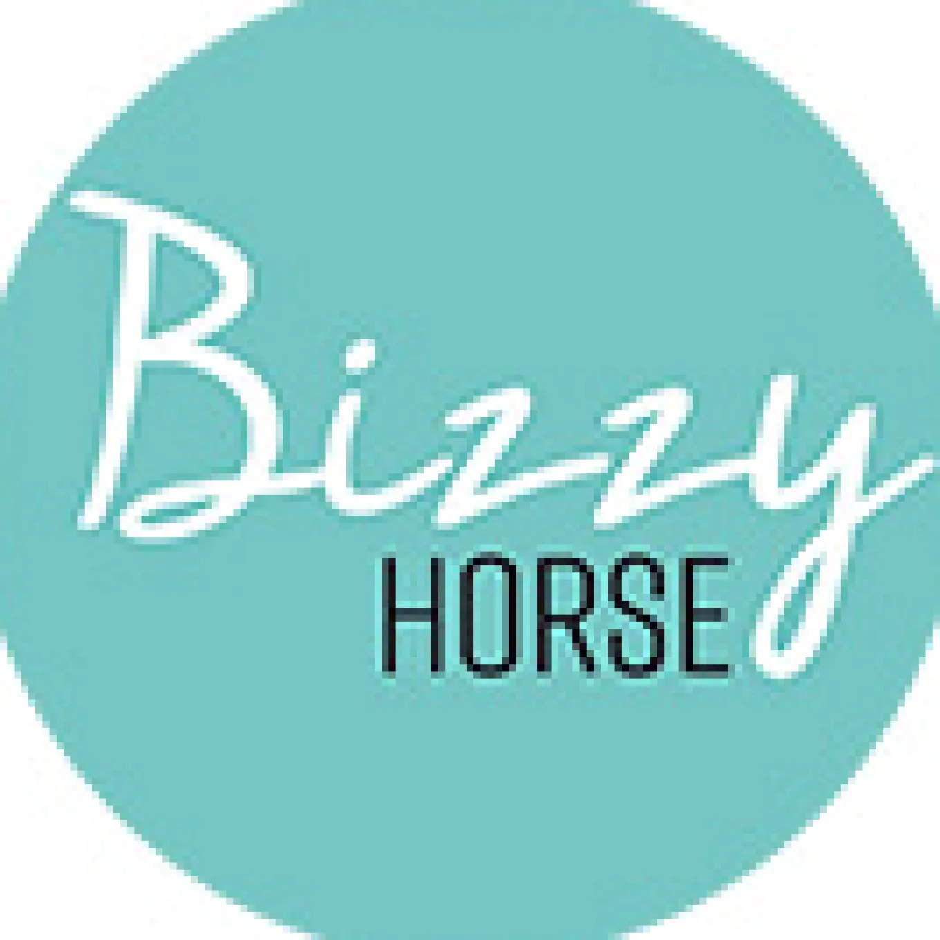 Bizzy Horse Leckstein, 1 kg