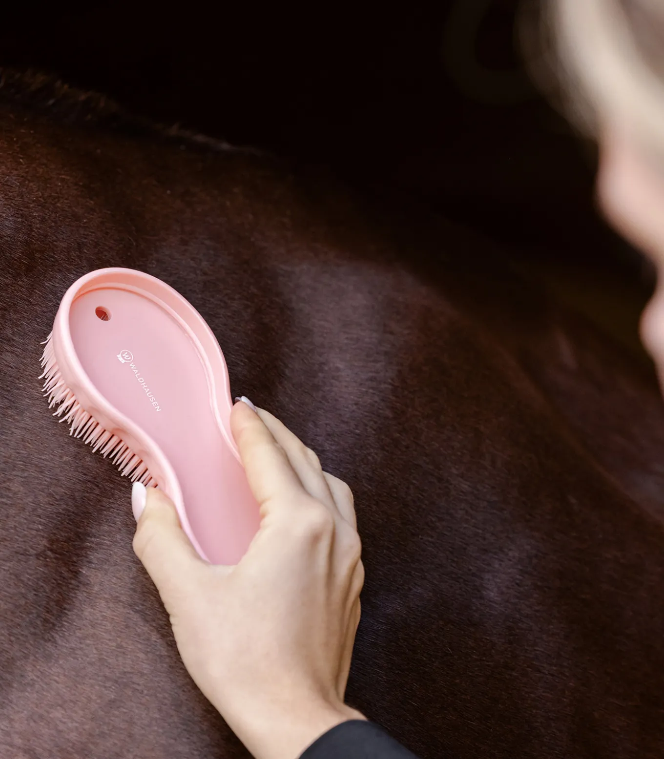 Bürste "All-in-one"