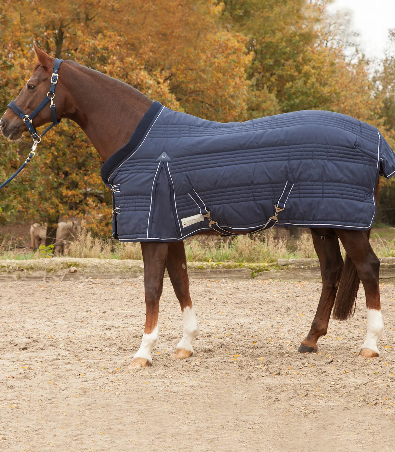 COMFORT Stalldecke, 200 g