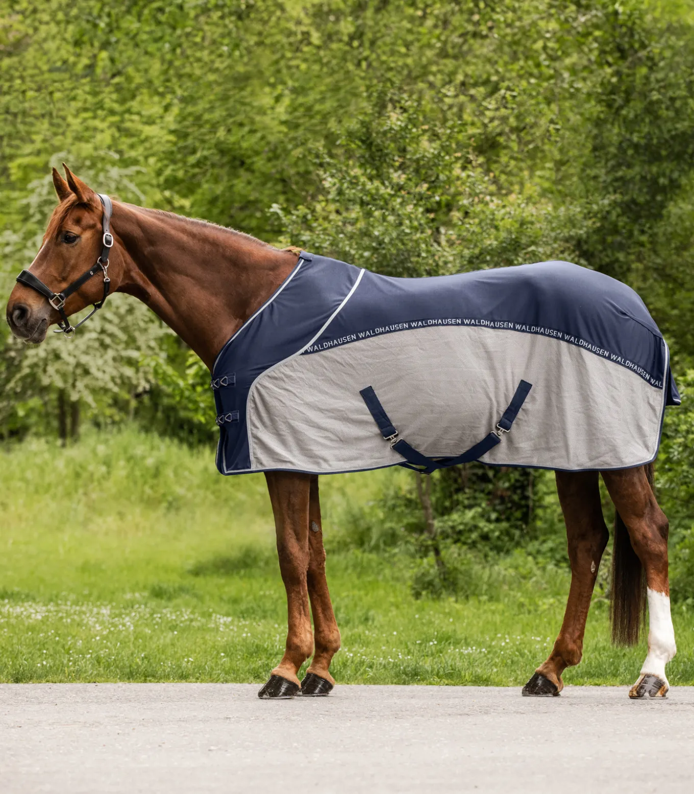 Cooler Fliegen-Sommerdecke