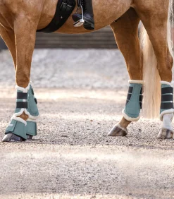 Dressurgamasche Comfort