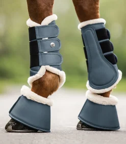 Dressurgamasche Pegasus