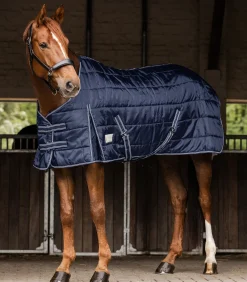 ECONOMIC Stalldecke, 100 g