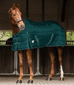 ECONOMIC Stalldecke, 100 g