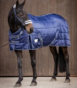 ECONOMIC Stalldecke, 300 g