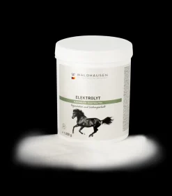 Elektrolyt - Regeneration und Leistungserhalt, 1kg