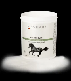 Elektrolyt - Regeneration und Leistungserhalt, 1kg