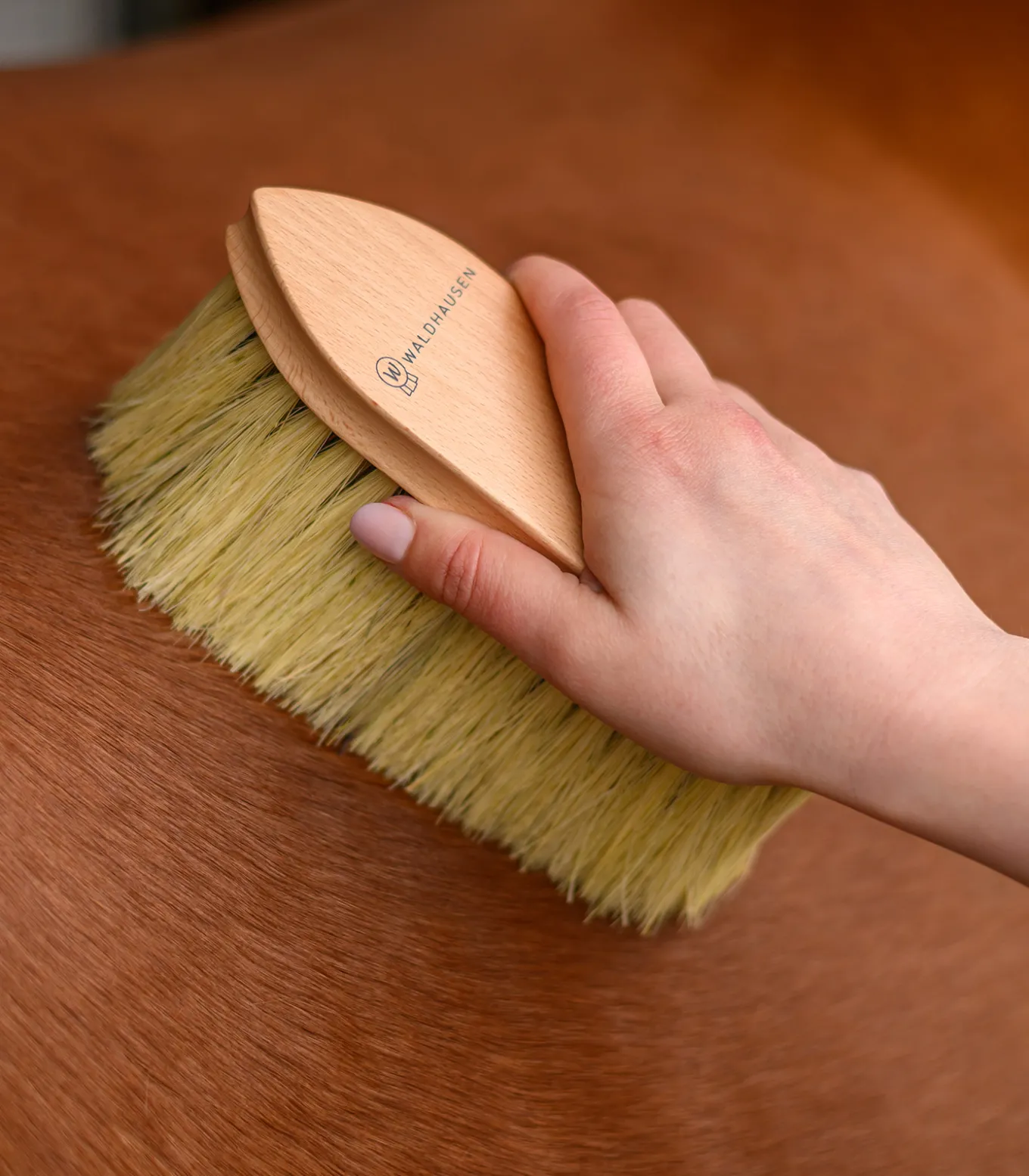 Exclusive Line Fellbürste