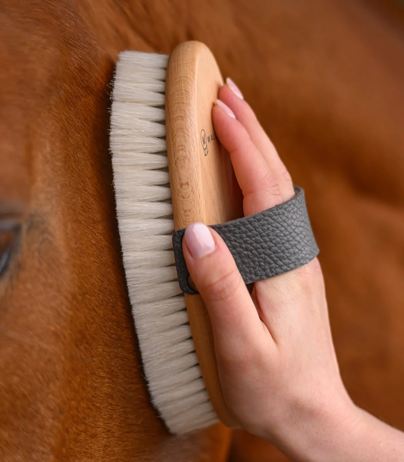 Exclusive Line Glanzbürste