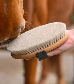 Exclusive Line Glanzbürste