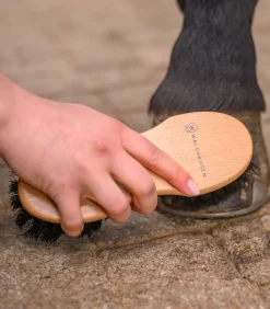 Exclusive Line Hufbürste