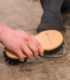 Exclusive Line Hufbürste