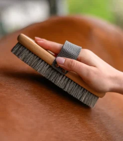 Exclusive Line Kardätsche