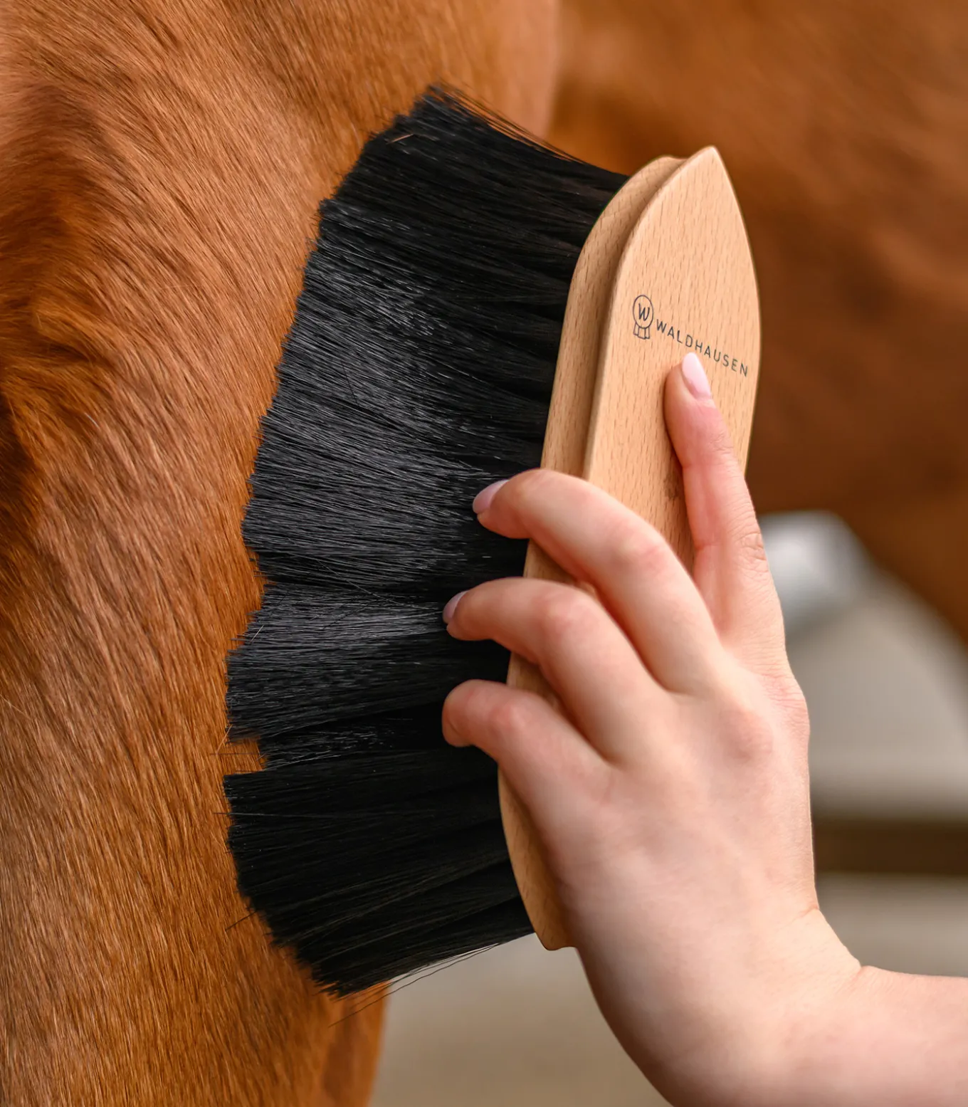 Exclusive Line Staubbürste