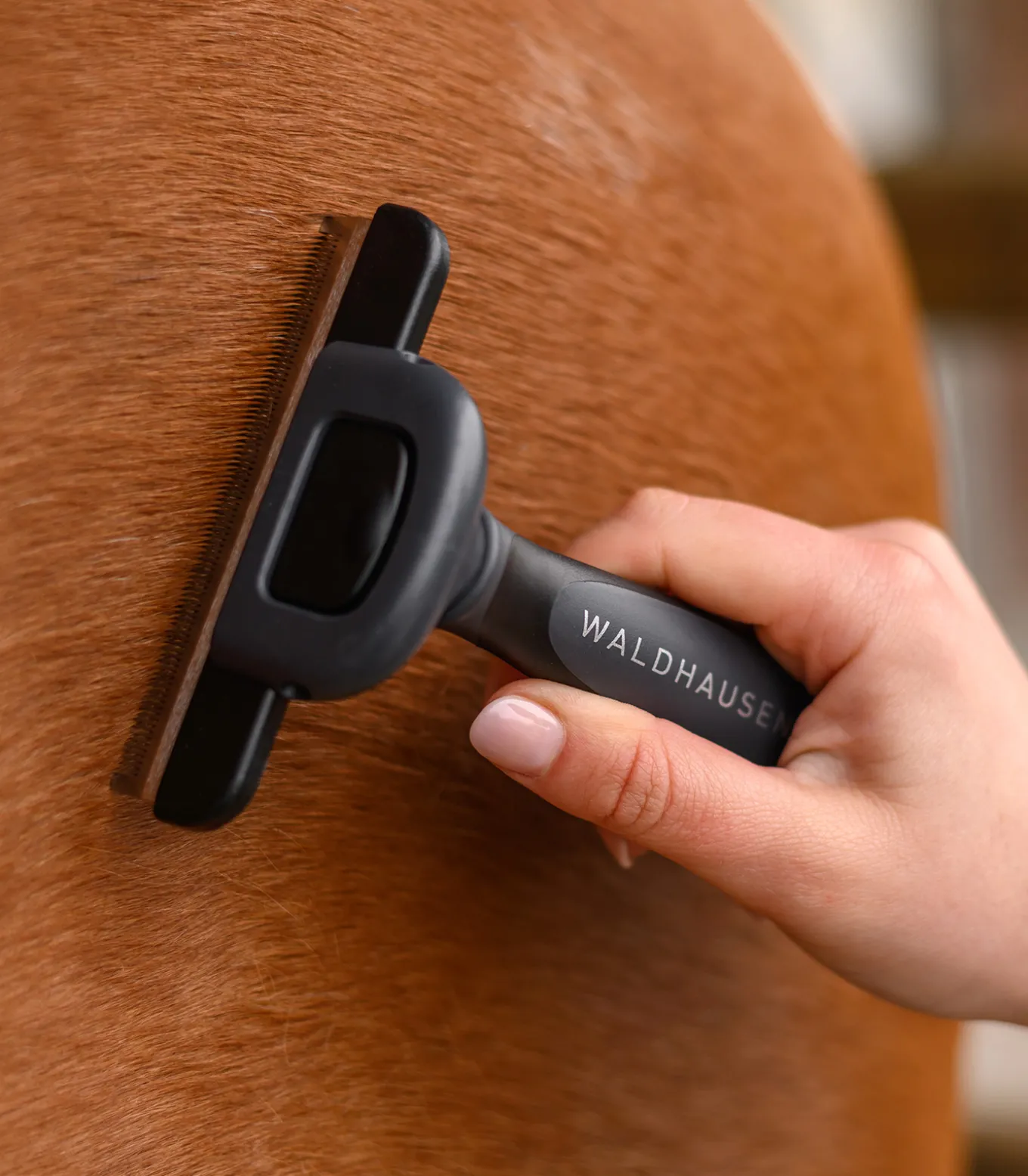 Fellwechselkamm mit Kunststoffgriff, L