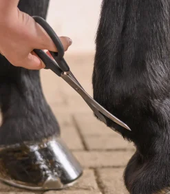 Fesselschere, gebogen