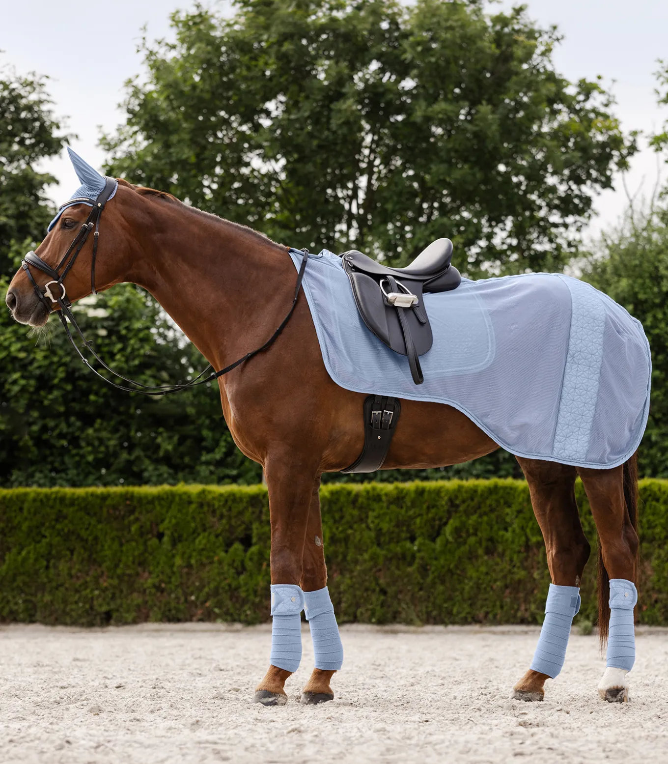 Fleecebandagen Rom, 4er Set