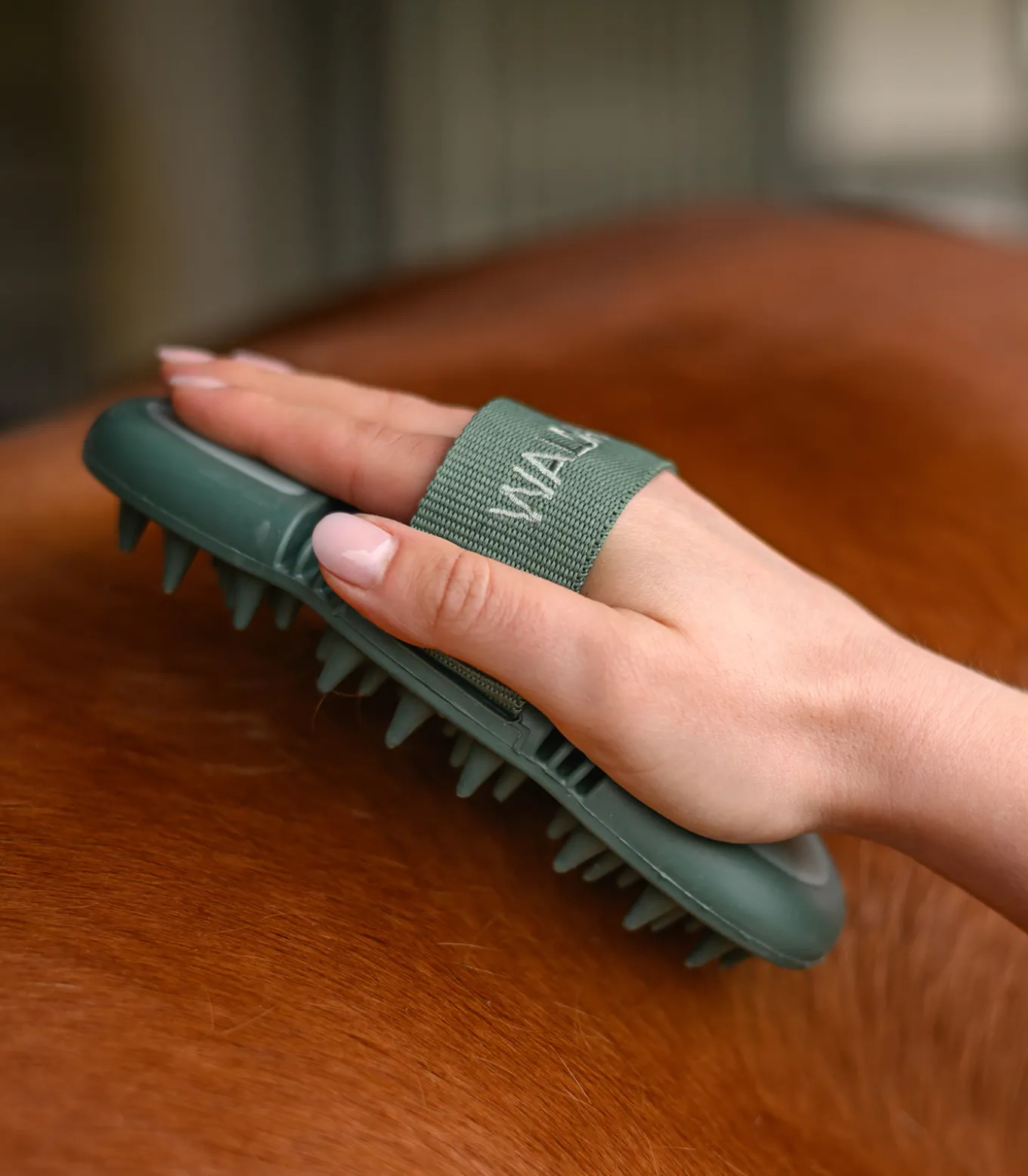 Flex Massage-Striegel