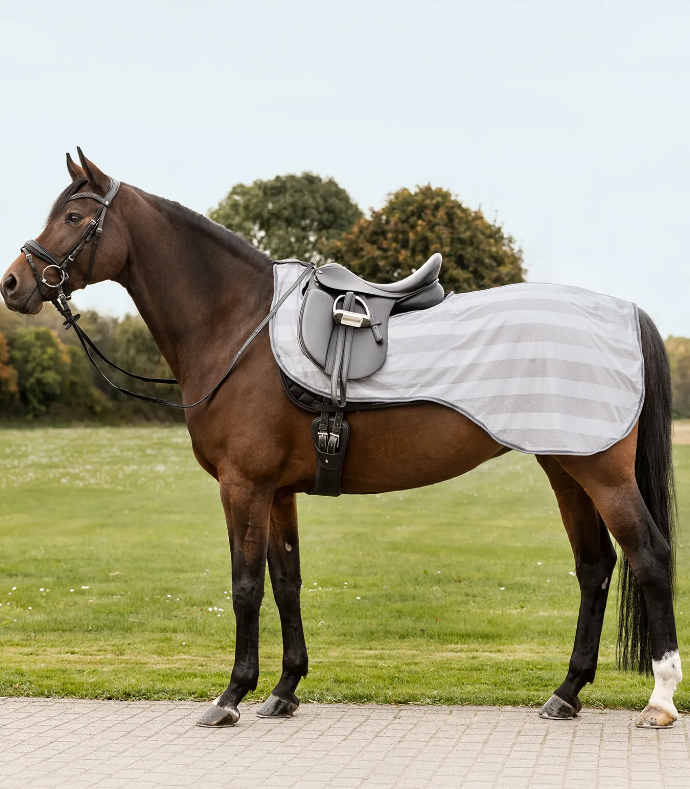 Fliegen-Ausreitdecke Economic