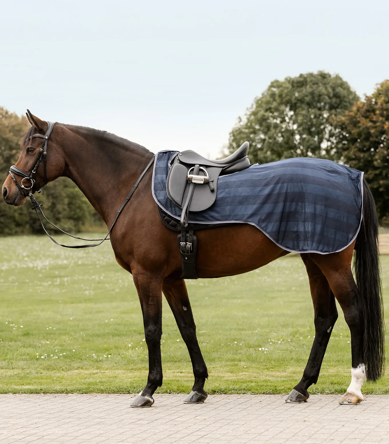 Fliegen-Ausreitdecke Economic