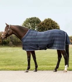 Fliegendecke Economic