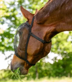 Fliegenmaske Basic, ohne Ohren