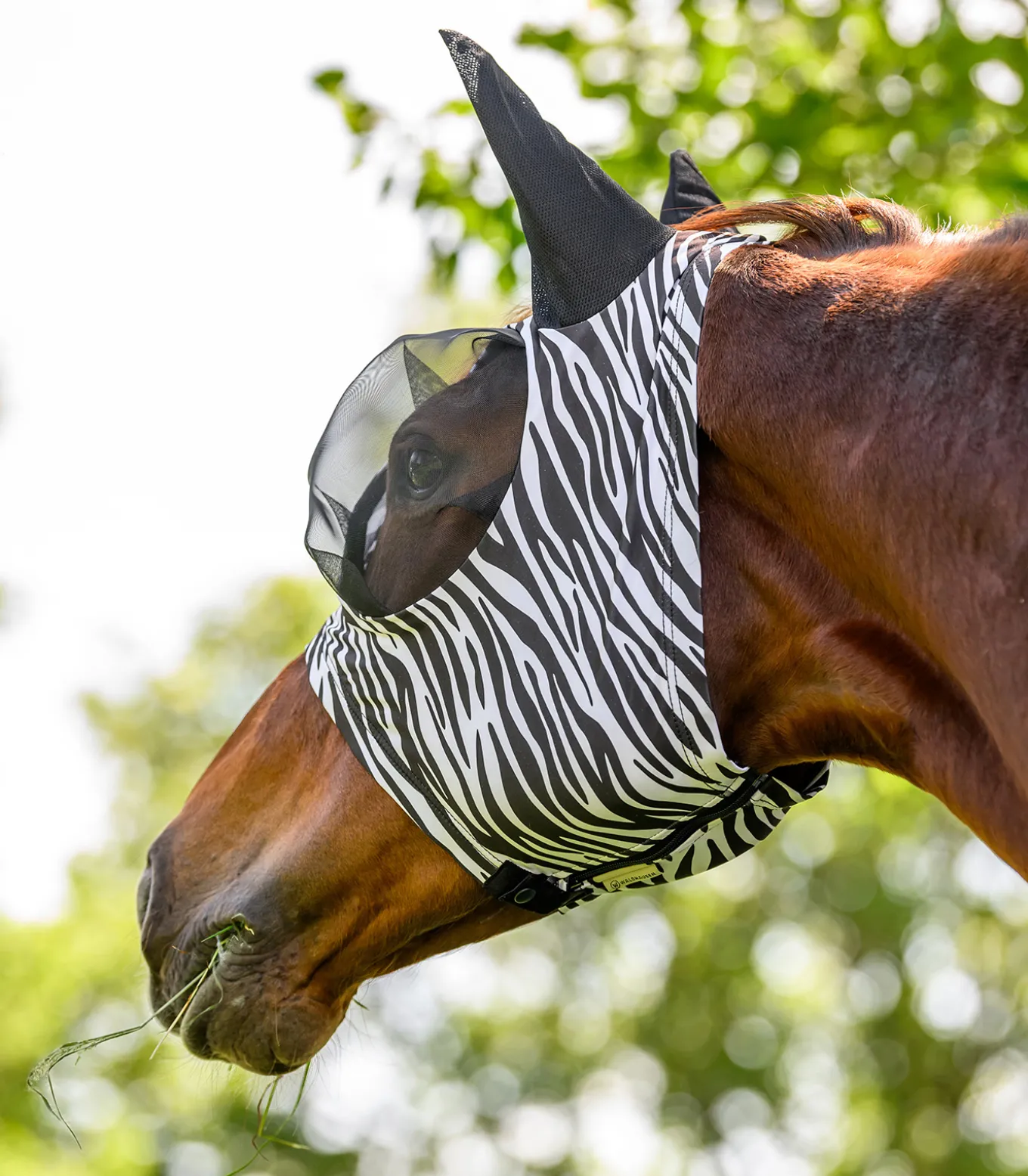Fliegenmaske Puck Zebra