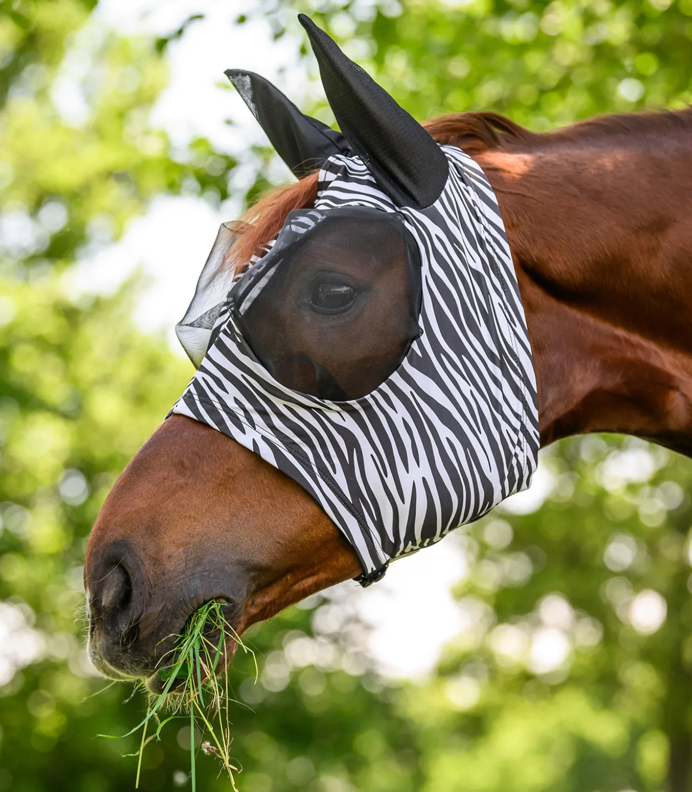Fliegenmaske Puck Zebra