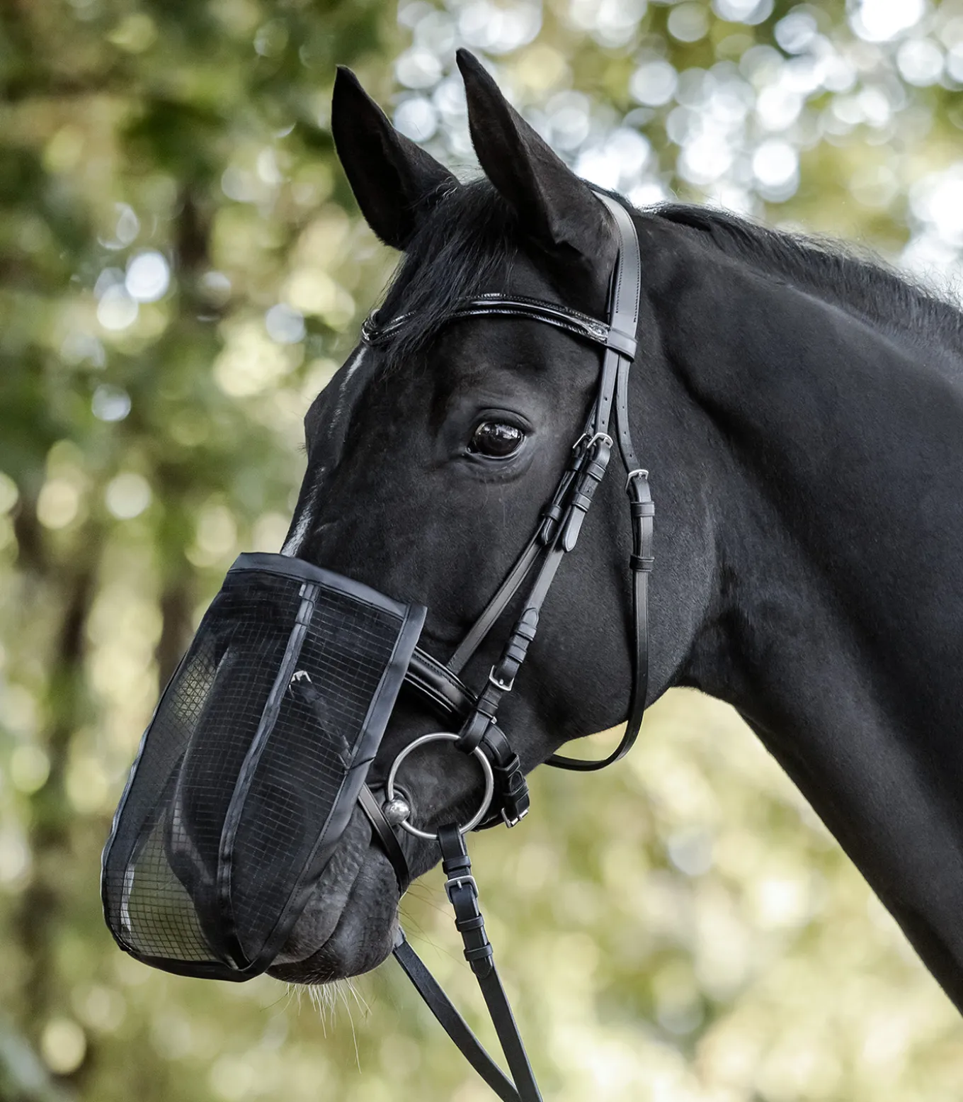 Fliegen-Nasenschutz, mit UV-Schutz