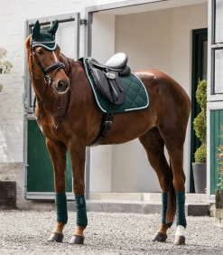 Fliegenohren Competition