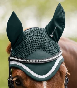 Fliegenohren Competition