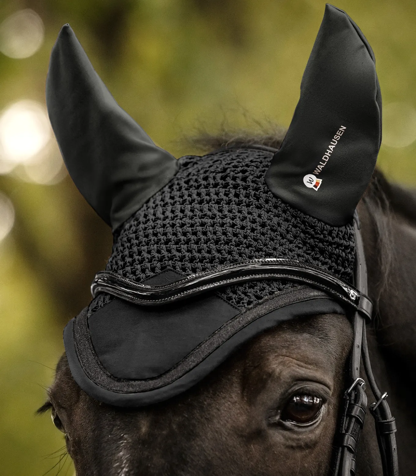 Fliegenohren Competition