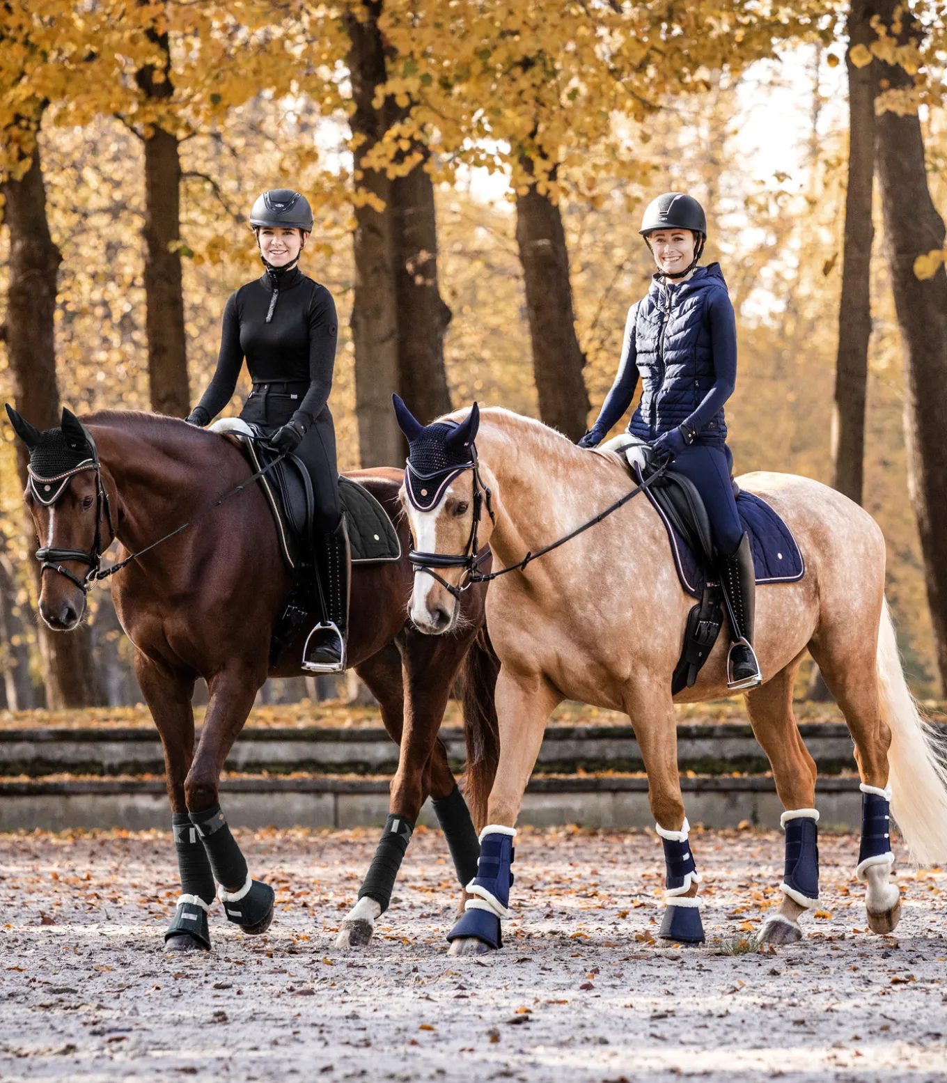 Fliegenohren Modern Rosé