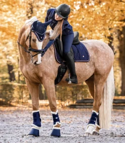 Fliegenohren Modern Rosé