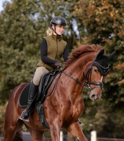 Fliegenohren St. Gallen