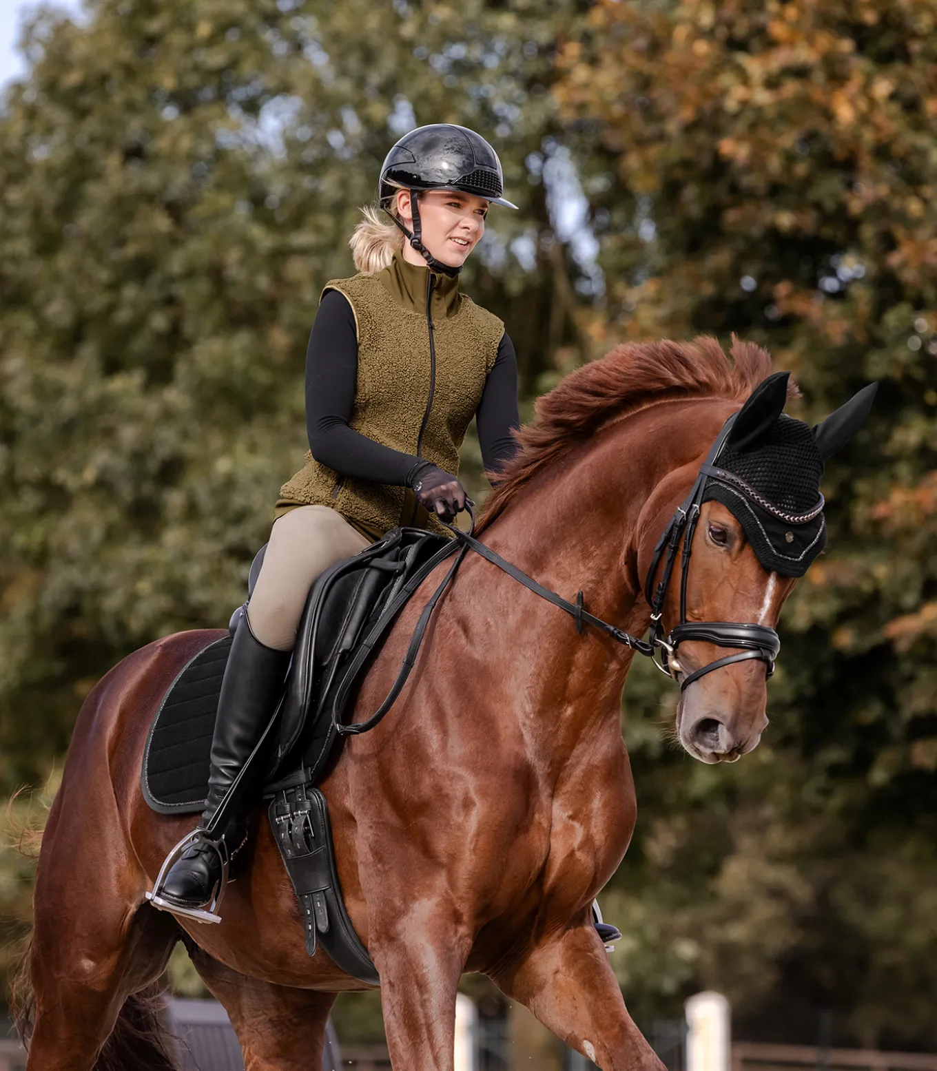 Fliegenohren St. Gallen