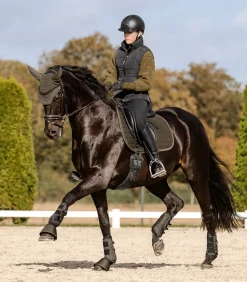 Fliegenohren St. Gallen