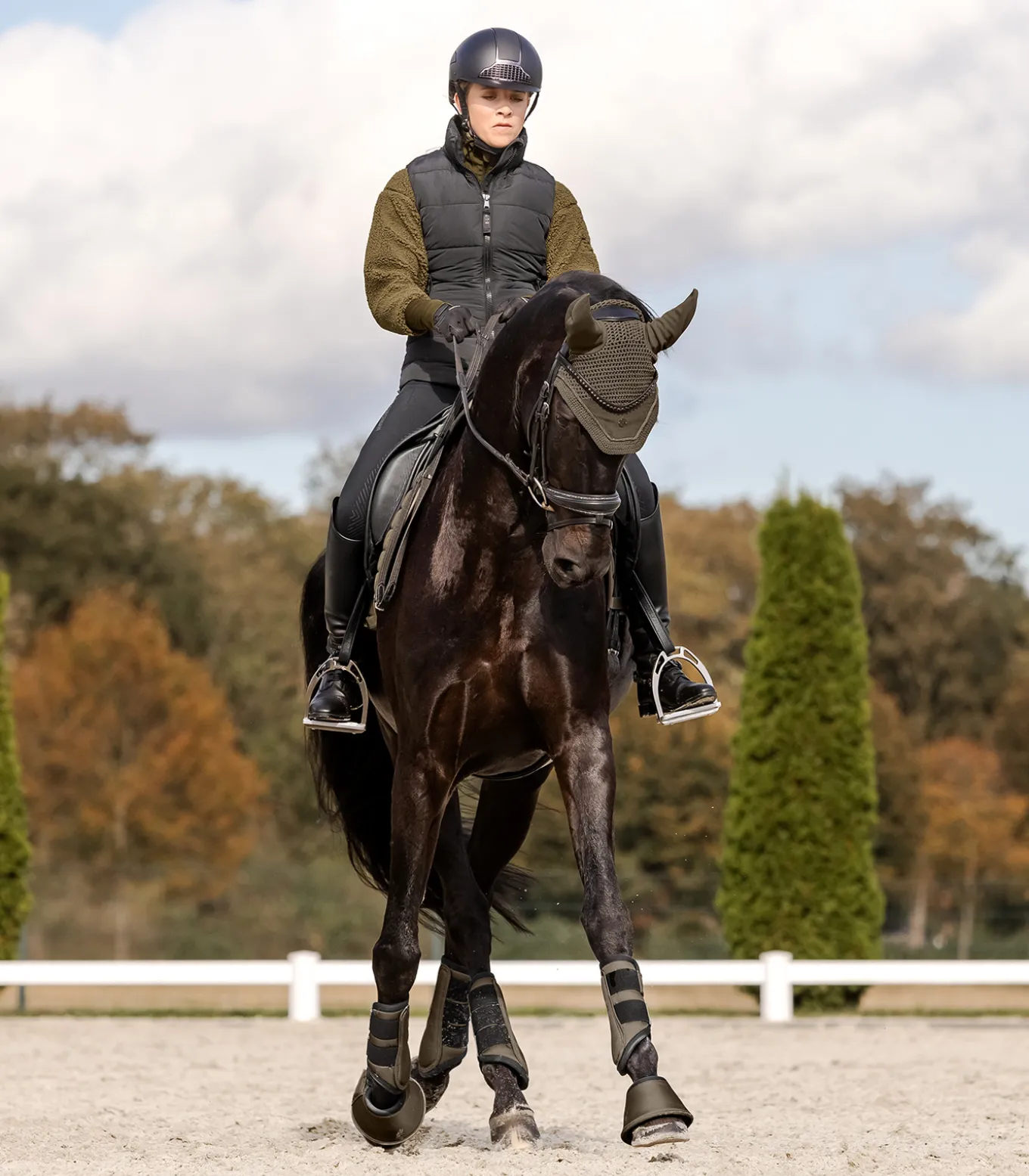 Fliegenohren St. Gallen