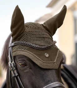 Fliegenohren St. Gallen