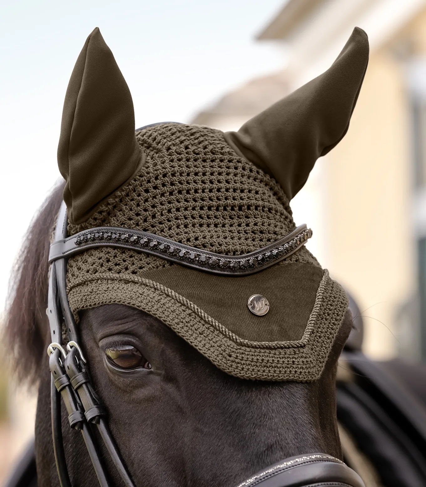 Fliegenohren St. Gallen