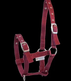 Fohlenhalfter Triple