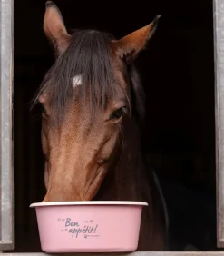 Futterschale mit Deckel