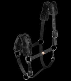 Halfter Modern Rosé