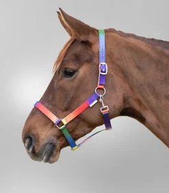 Halfter Regenbogen, VB und WB