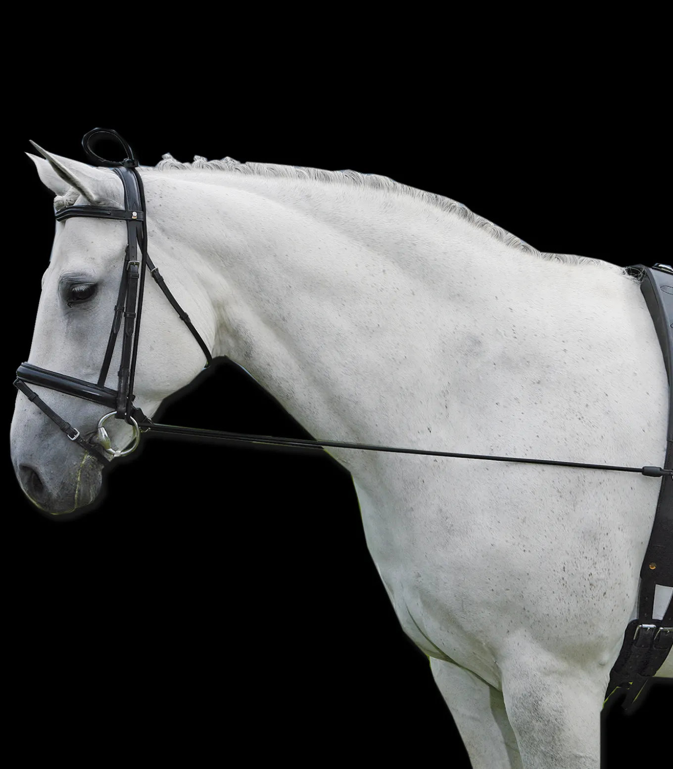 Halsverlängerer Elastic