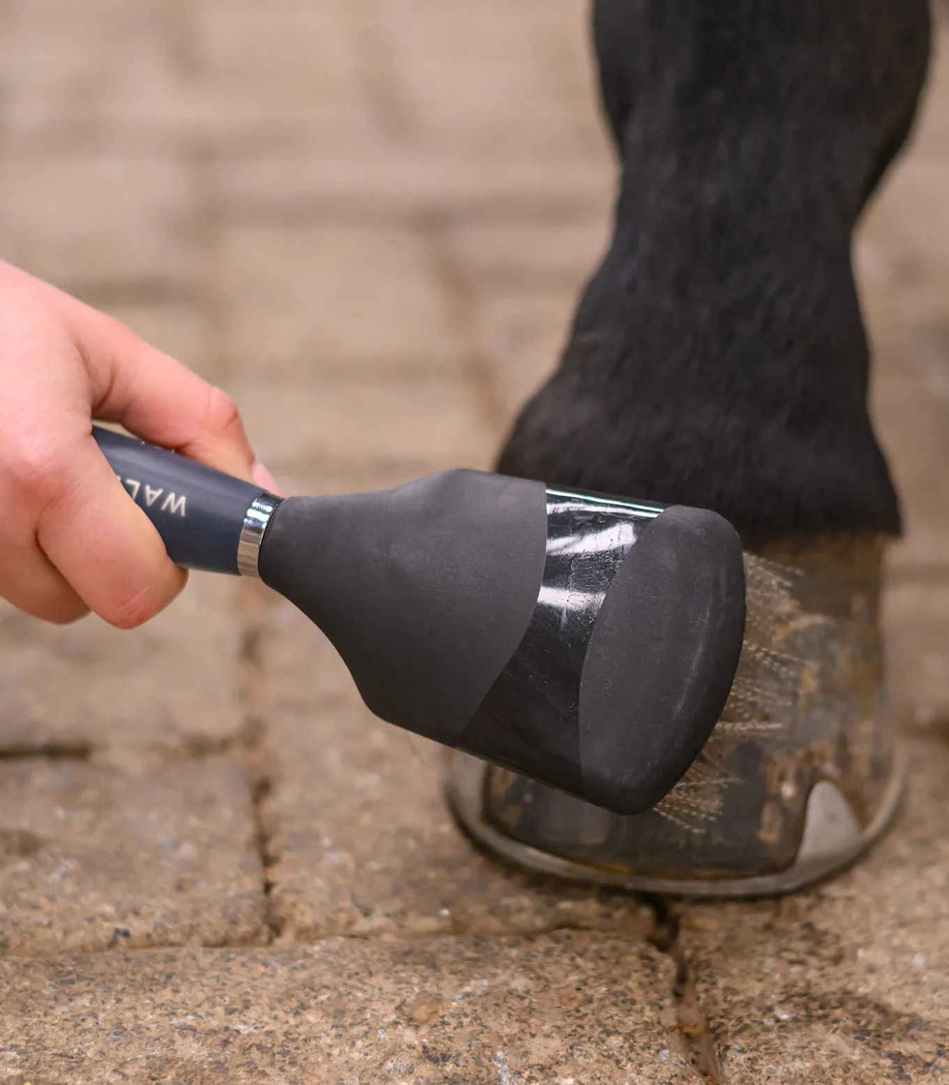 Hufbürste mit Gelgriff